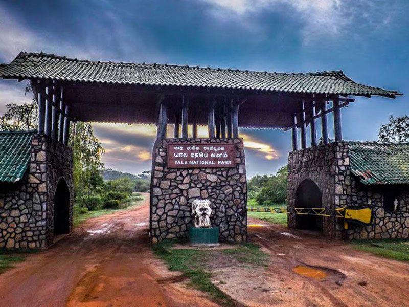 Image of Yala National Park