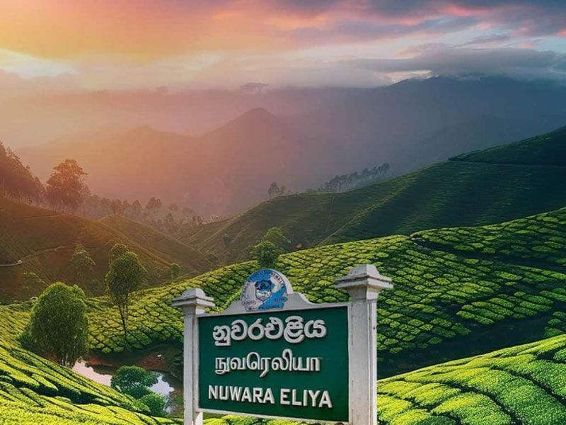 Image of Nuwara Eliya